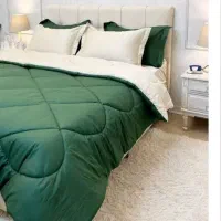 روتختی تکرنگ|سرویس روتختی|رشت, سعدی (تختی)|دیوار