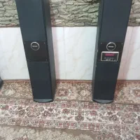 بانداسپیگرخانگی