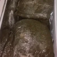 سبزی خورشتی رامهرمز