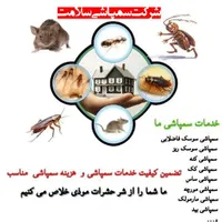 سمپاشی صدردصد‌تضمینی‌سم پاشی‌سوسک‌وساس و...|خدمات نظافت|تهران, آذری|دیوار