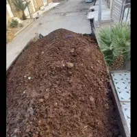 کود گاوی خشک  خالص