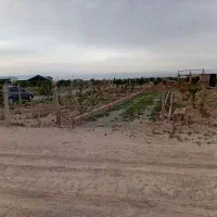 باغچه-500-متری-دو-بر