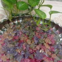 قند مخلوطی . نبات دمنوشی|خوردنی و آشامیدنی|رشت, عینک|دیوار