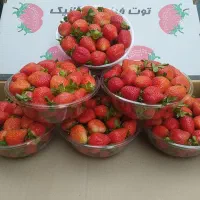 توت فرنگی تازه  برای کافه،، شکو بری، قنادان