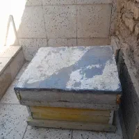 کندو زنبور عسل