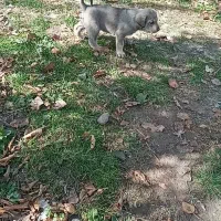 به دلیل نبود جا