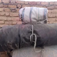 شل گیر الوند|عمده‌فروشی|مرودشت, تخت جمشید|دیوار