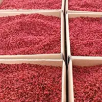 محصولات خراسان جنوبی|خوردنی و آشامیدنی|تهران, دولاب|دیوار