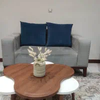 مبل|مبلمان خانگی و میز عسلی|کرج, ساماندهی|دیوار