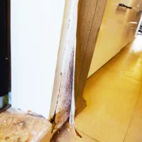 تعویض کاغذ دیواری با گارانتی.زیرسازی حرفه ای،تعمیر|خدمات پیشه و مهارت|شیراز, ارم|دیوار