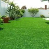 چمن اقتصادی ویژه نوروز