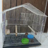 قفس پرنده بزرگ مدل کلبه