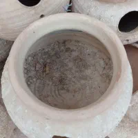 لونه پرنده|لوازم جانبی حیوانات|کرمان, |دیوار