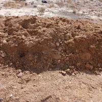 کود گوسفندی یک وانت|خدمات باغبانی و درختکاری|شهریار, شهرک بهاران (ویره)|دیوار