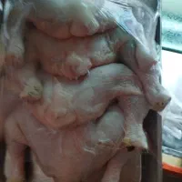 مرغ سمین درشت و ریز سینه دار با رستوران کبابی|خوردنی و آشامیدنی|رشت, نخودچر|دیوار