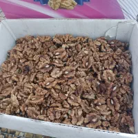 مغز گردو ۲ پر تمیز تمیز بدون شکسته و خرابی