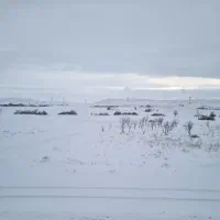 زمین کشاورزی