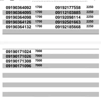 09101714113