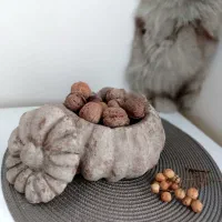 چند طرح ظرف دکوری خاص برای گردو، شکلات و تی بگ|ظروف سرو و پذیرایی|تهران, گلستان (شهرک راه آهن)|دیوار