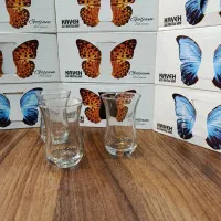 استکان کمرباریک ( فروش ویژه )|ظروف سرو و پذیرایی|قائم‌شهر, |دیوار