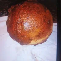 یک سگ حوالی شهرک الوندپیدا شده