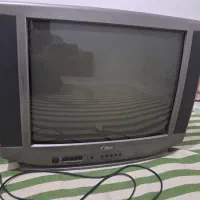 تلویزیون