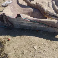 کفی نیسان اتاق نیسان|قطعات یدکی و لوازم جانبی|خاش, |دیوار