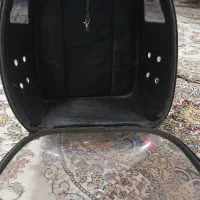 باکس (کیف) گربه