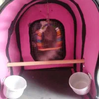 کیف پرنده|لوازم جانبی حیوانات|محمدشهر, محمدشهر|دیوار