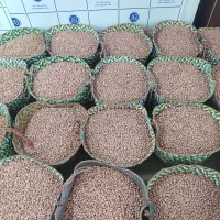 بادام،کره بادام،آجیل و خشکبار، برنج