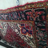 دار قالی|تابلو فرش|قم, علی آباد سعدگان|دیوار