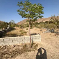 فروش 400  متر در کمالشهر|فروش دفتر صنعتی، کشاورزی، تجاری|کرج, کمال‌شهر|دیوار