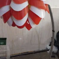 چراغ خواب|چراغ خواب و آباژور|مشهد, شترک|دیوار