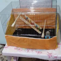 یک قفس بزرگ با وسایل نو