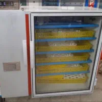 دستگاه جوجه کشی مشهد برق