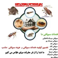 سمپاشی صدرصدتضمینی سم پاشی سوسگ‌وساس و...|خدمات نظافت|پردیس, فاز ۲|دیوار