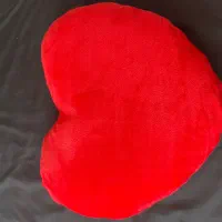 دو عدد کوسن