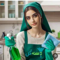 شرکت خدماتی نظافتی دسته گل