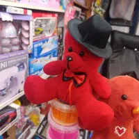 خرس ولیتاین نو ارزان