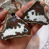 شجر و توپی ، عقیق