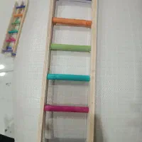 نردبان عروس ۲۰تومن عمده|لوازم جانبی حیوانات|بهارستان, |دیوار