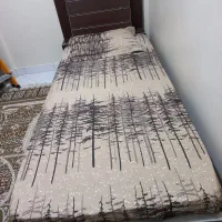 تخواب یکنفره همراه با خوشخواب|تخت و سرویس خواب|تهران, جیحون|دیوار