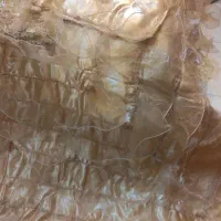 روتختی دو نفره