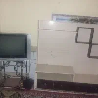 تلویزیون ،2تامیز تلویزیون