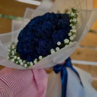 رزهای ربانی زیبا|گل مصنوعی|شاهرود, |دیوار