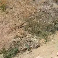 فروش-زمین-حدود-2000-متر-مربع