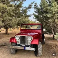 جیپ کروک کلاسیک مدل ۱۳۶۵|خودرو کلاسیک|تهران, اقدسیه|دیوار