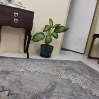 رهن کامل خانه ویلایی