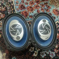 باند پایونیر ۶۹۷۱