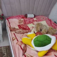 سرویس خواب ،مبل کلاسیک ، سرویس غذا خوری ،اجاق گاز|مبلمان خانگی و میز عسلی|همدان, |دیوار